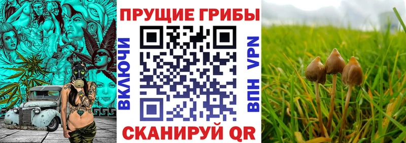 Галлюциногенные грибы мухоморы  omg ссылки  Донецк 