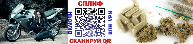 магазин продажи   Донецк  Канабис ГИДРОПОН 